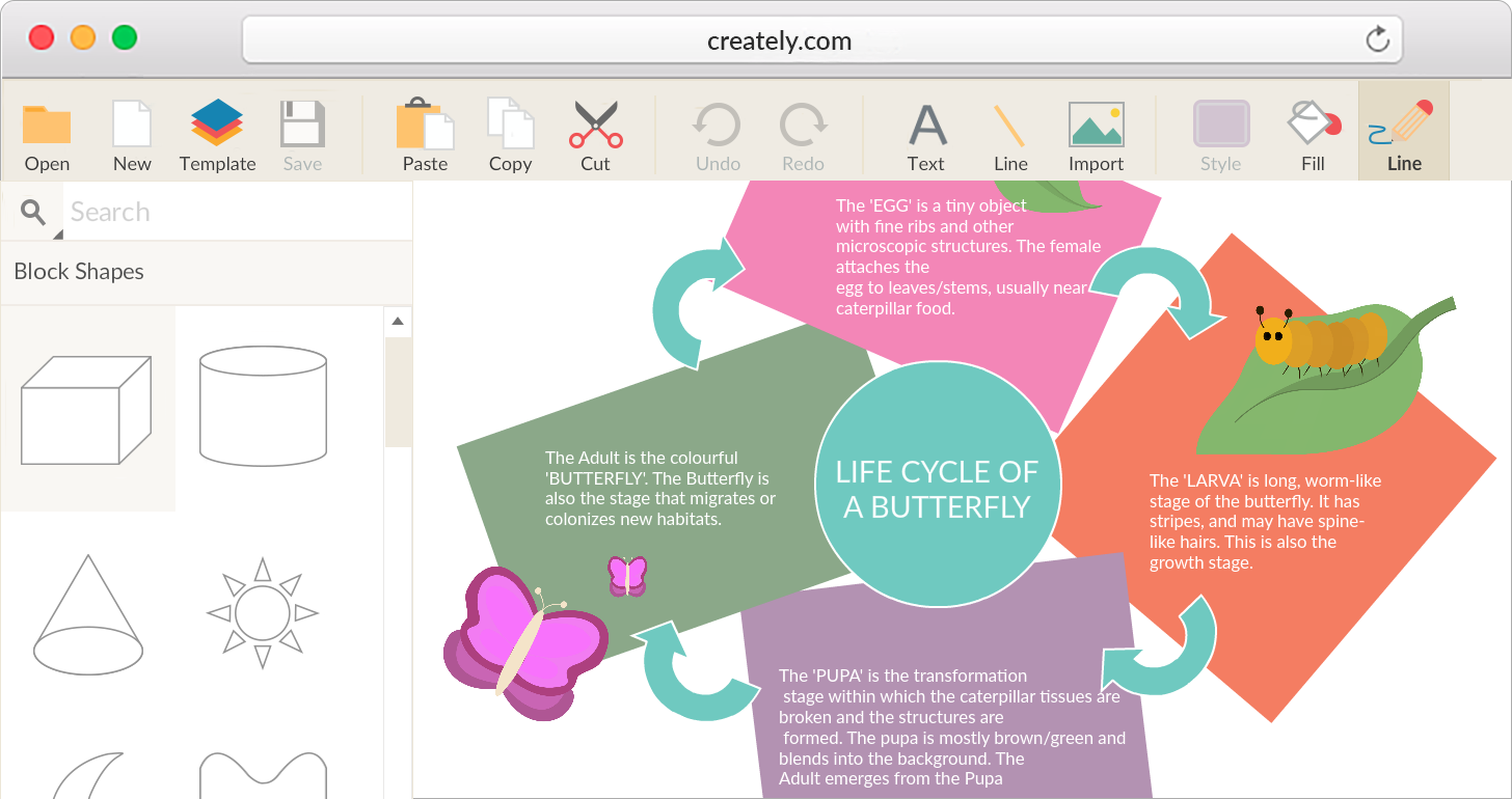 educational-graphic-organizer-maker-for-k12-creately-gambaran
