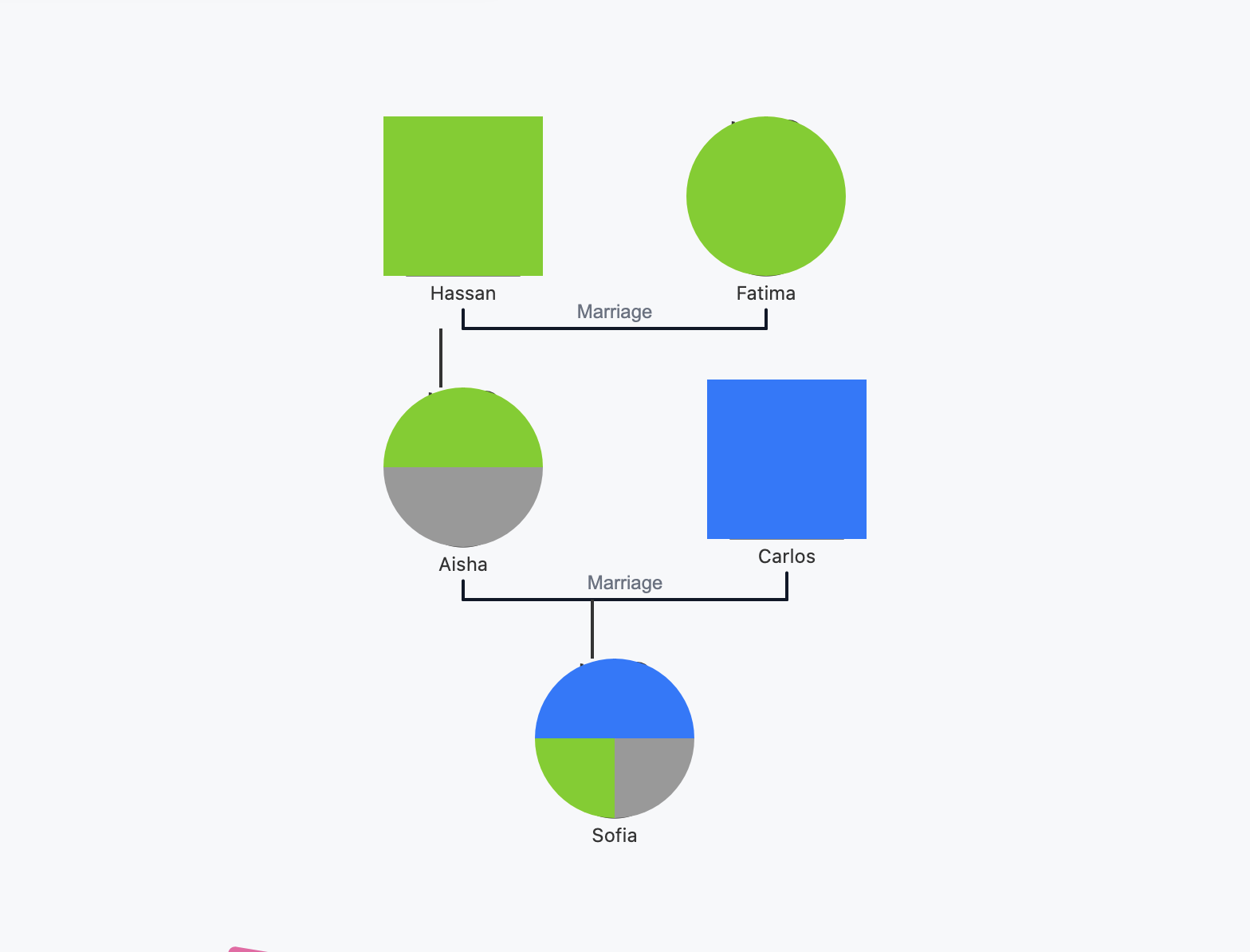Image of a cultural background genogram generated from a text description showing family relationships, migration background, and bicultural context