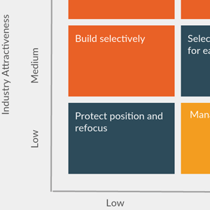 GE- McKinsey Matrix