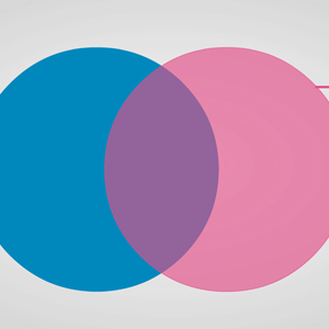 Blank Venn Diagram Template