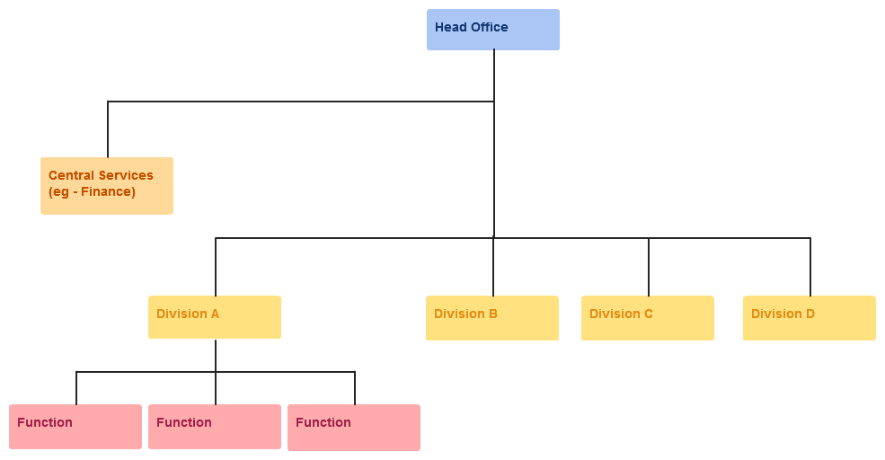 Multidivisional structure diagram