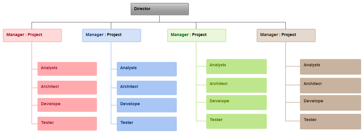 Project Organization Structure Chart