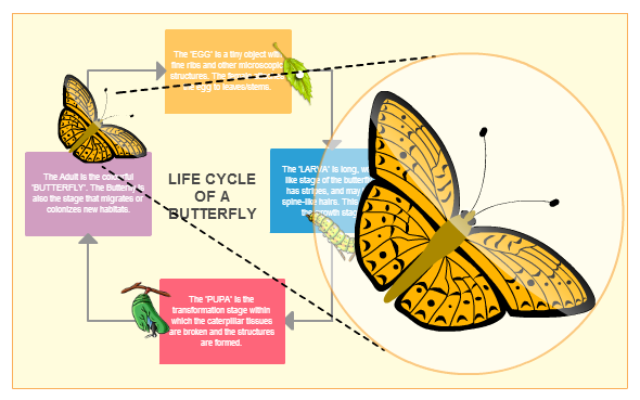 High Quality Prints, Links in PDF and More with SVG Export - Creately Blog