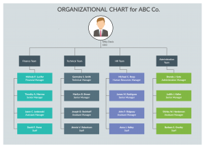 7 Types of Organizational Structures for Companies