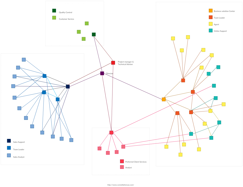 Netwerk Organogram Structuur