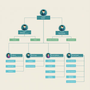 Organizational Chart Examples to Quickly Edit and Export in Many Formats