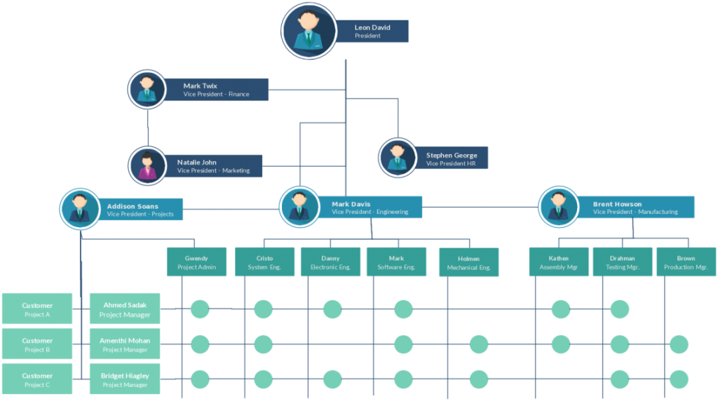 Organizational Chart Template of Matrix Structure