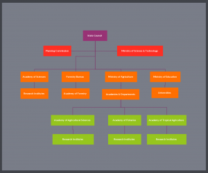 Organizational Chart Examples to Quickly Edit and Export in Many Formats