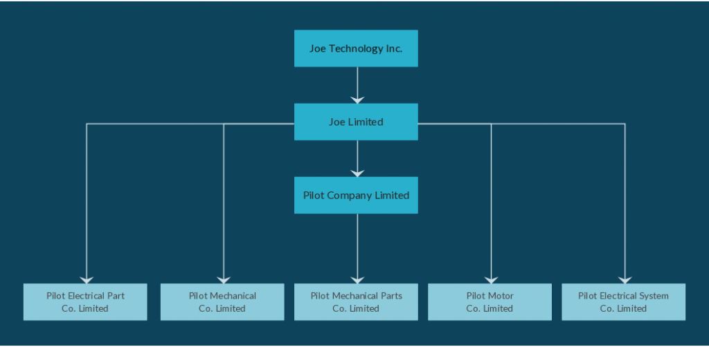 Org Chart Template for Holding Company Structure
