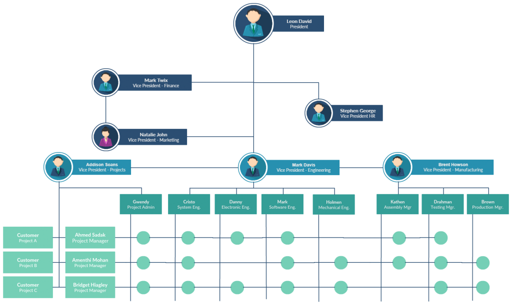 Org Chart - Matrix Structure