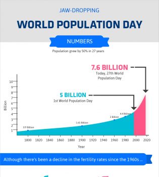 World population day infographic