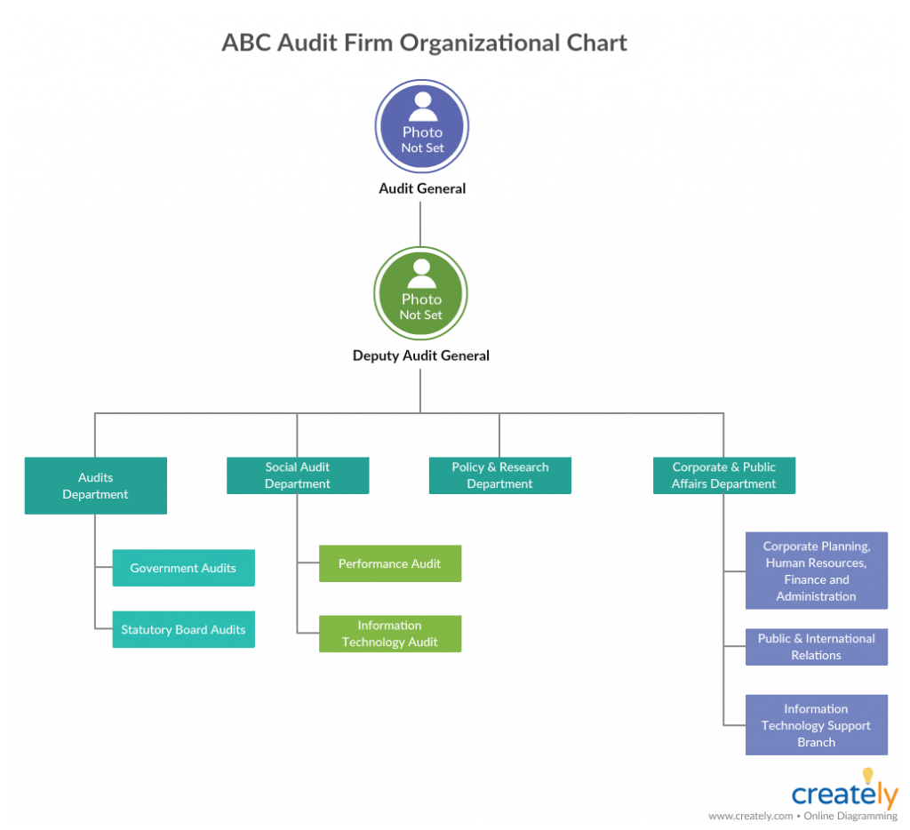 Which Organization Audits Charts Regularly