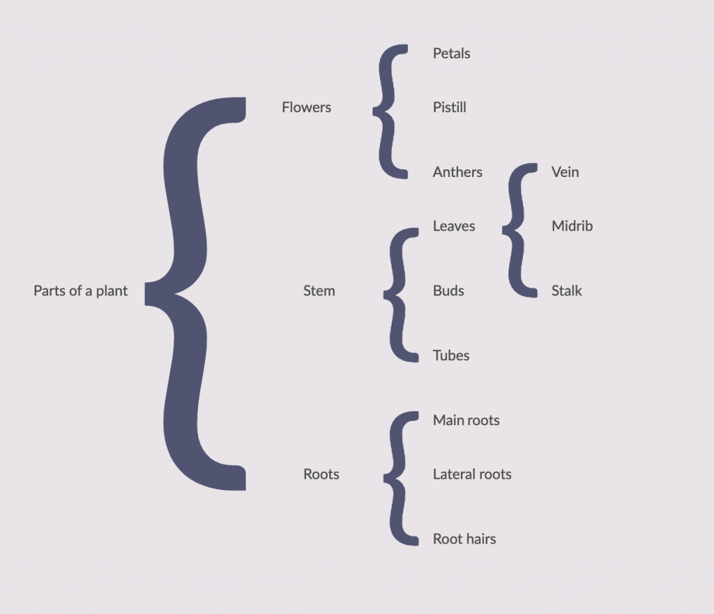 Brace Maps Thinking Maps