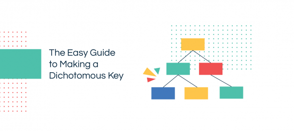 Making a Dichotomous Key with Editable Examples