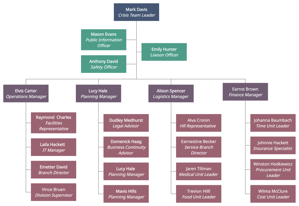 Crisis Management Team Structure