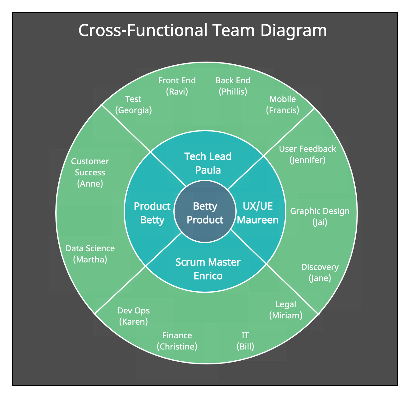 Teaming function