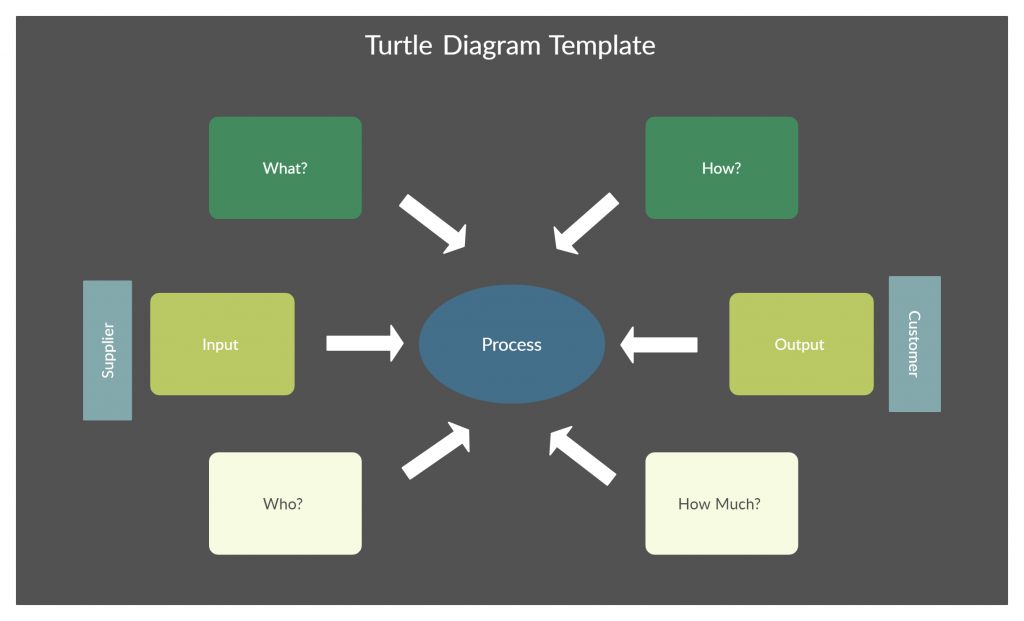 Turtle Diagram Template