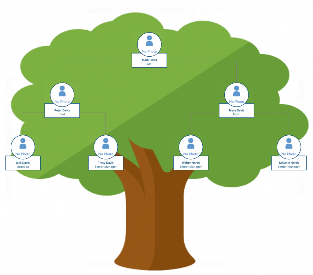 Family History Genealogy Flowchart Associated Members