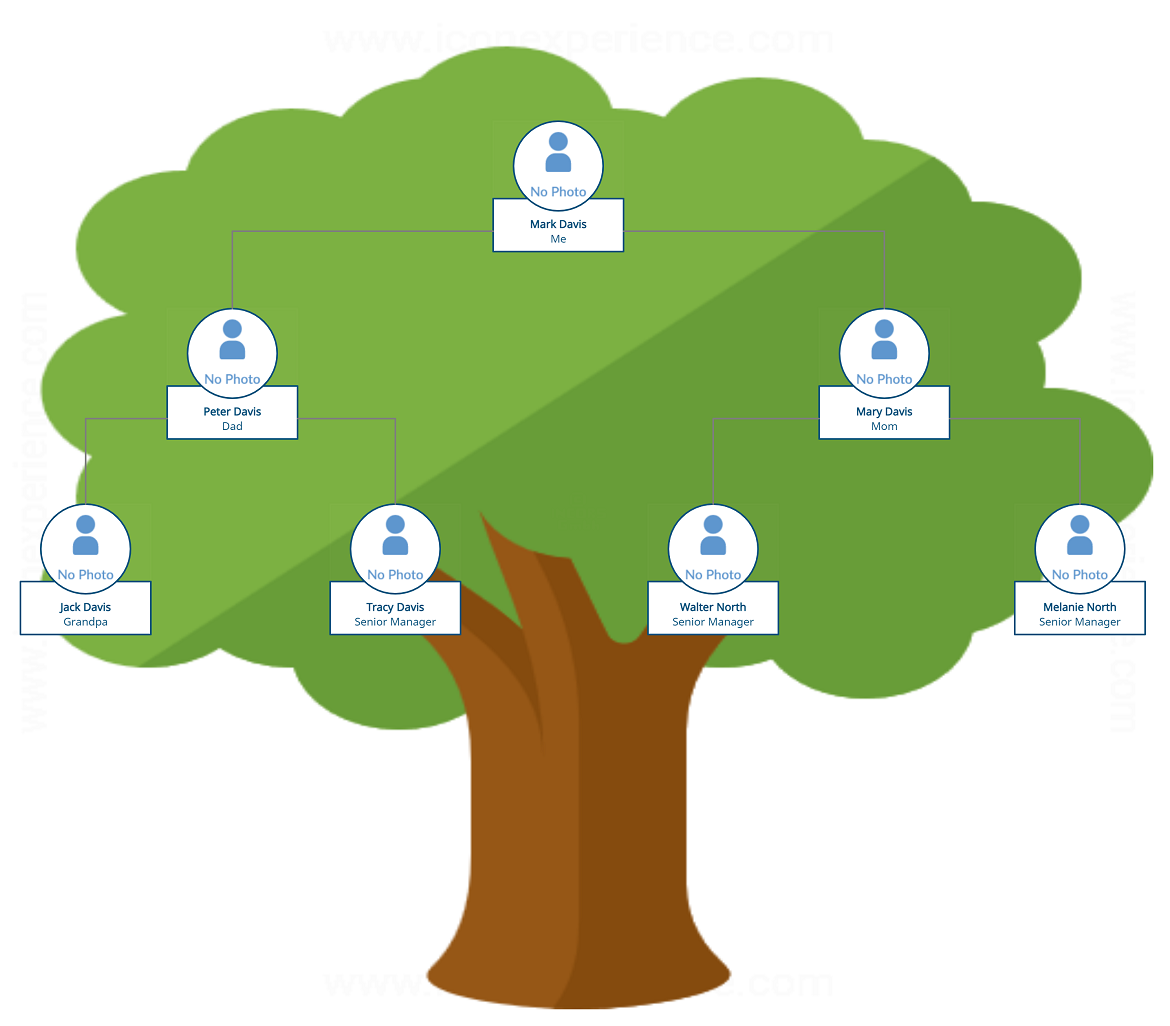 Family Tree Examples to Easily Visualize Your Family History