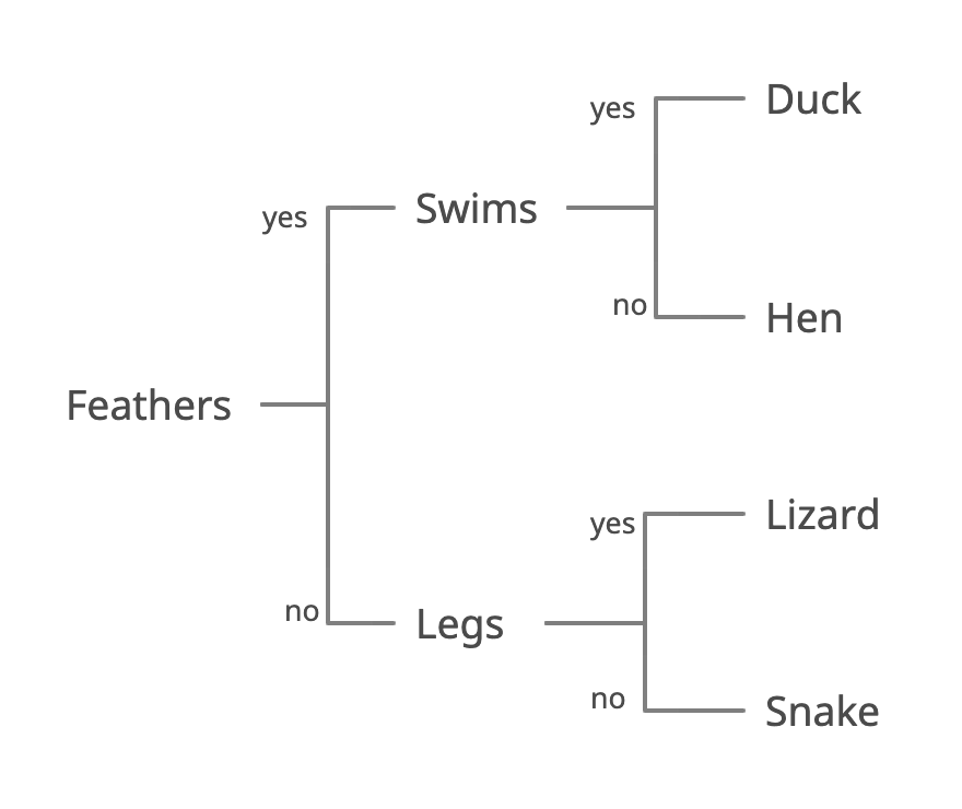 Nester Style Dichotomous Key