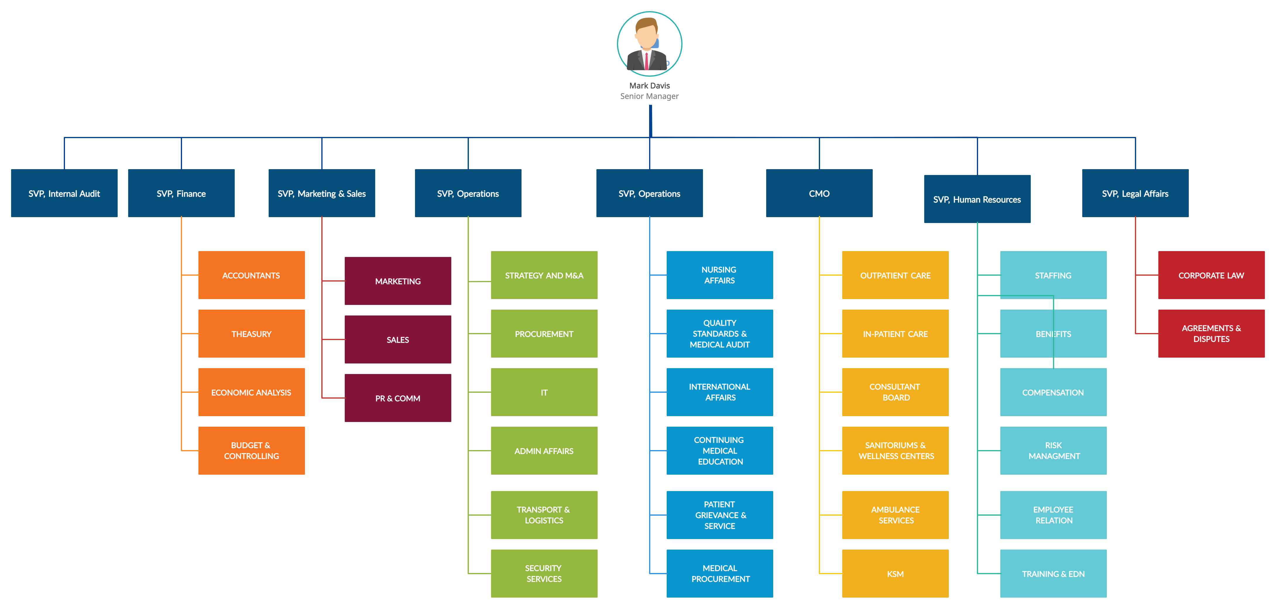 Organization Chart Example for a Hospital